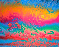 Bubbs-10
