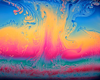 Bubbs-23