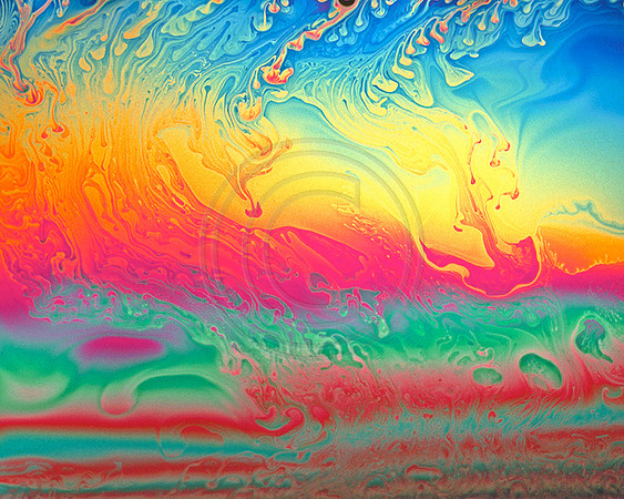 Bubbs-6